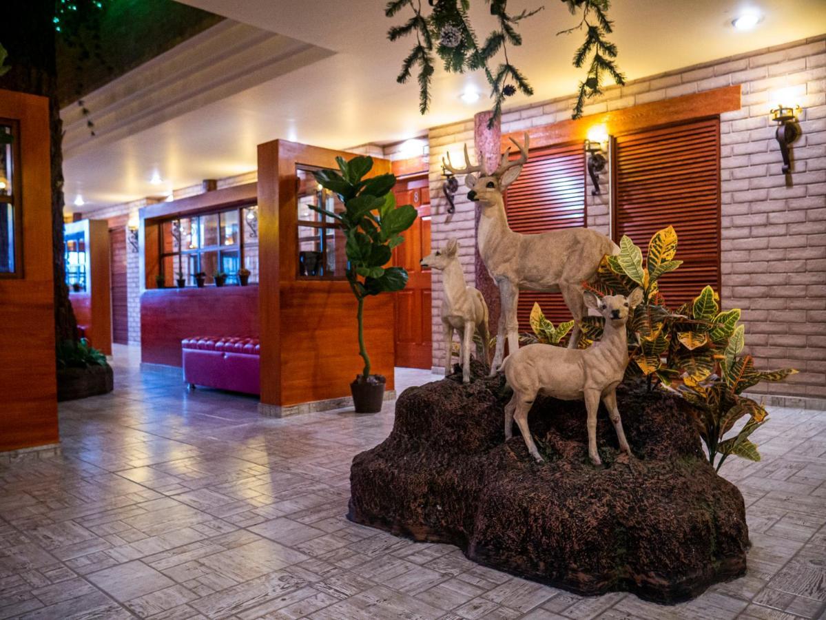 Hotel El Condor Cortazar 外观 照片